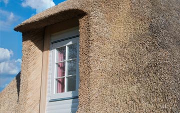 Tackley thatch roof disadvantages